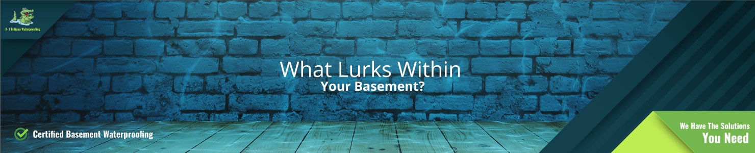 Basement Waterproofing Services - What Lurks Within Your Basement