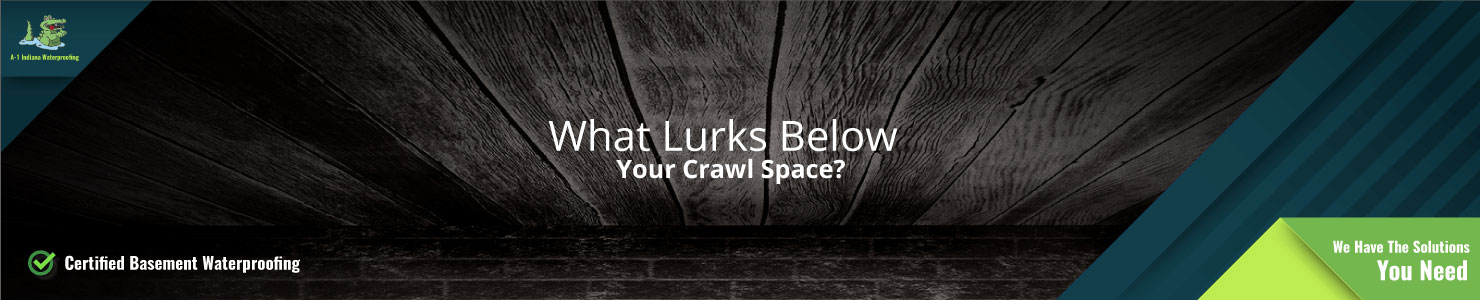 What Lurks Below Your Crawl Space - Crawl Space Repair Services
