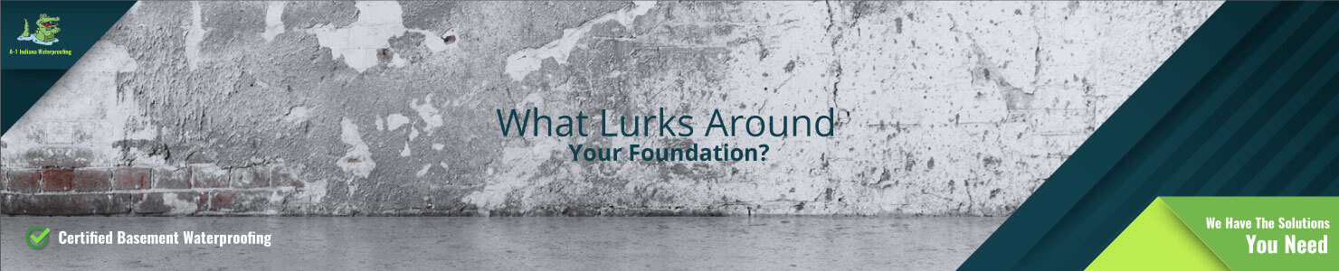 Foundation Repair Services - What Lurks Around Your Foundation